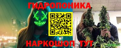 2c-b Малгобек